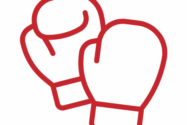 единоборства